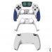 Playstation 5 Astrobot Edition Kol Kasası - Dualsense'ini Yenile